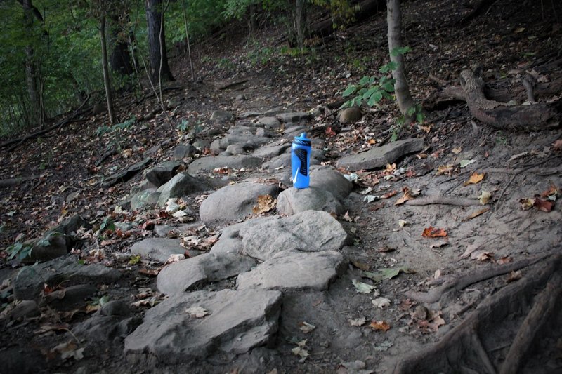 There's a few tricky rock gardens and exposed roots on this trail. Best to keep your momentum and not touch the brakes when wet.