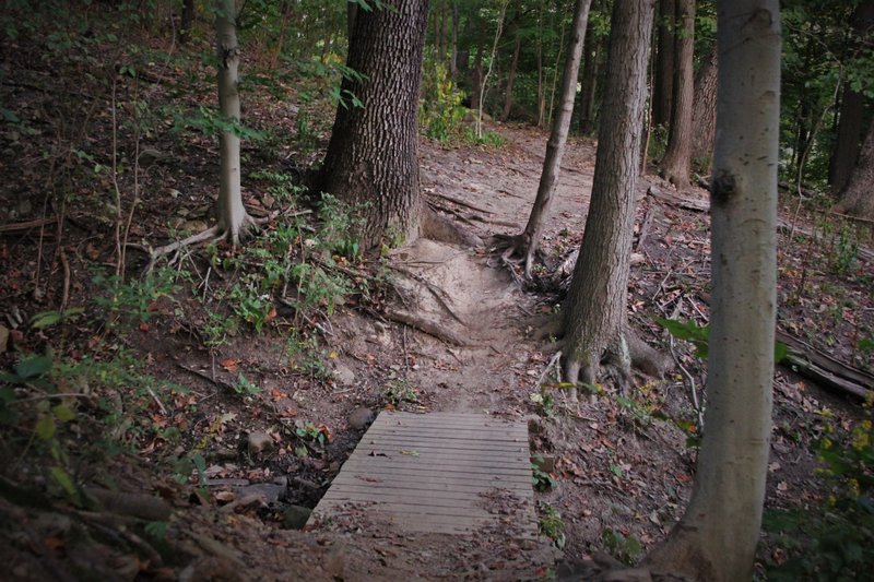 This is the second of 3 bridges, at a somewhat low point in the ravine just past the rock garden. Best to maintain speed to get up the steep roots between the trees on the other side.