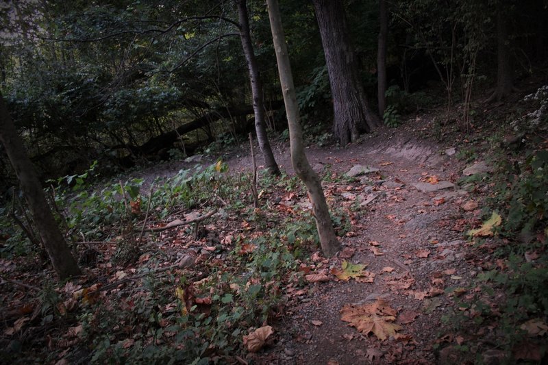 Below the two bridges, the trail becomes more gravelly over exposed red clay, because of frequent city water runoff. Avoid after a storm.