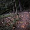 Below the two bridges, the trail becomes more gravelly over exposed red clay, because of frequent city water runoff. Avoid after a storm.