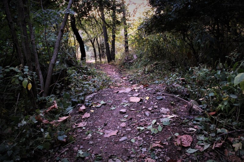 After the s-turn berms, there is a roller and then a double jump before you merge with the main, multi-use trail (see bench in background). Check your speed.