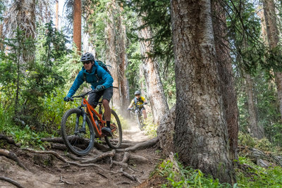 403 gets pretty rowdy once you drop into the trees... SO much fun!