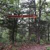 Check out the actual crown of thorns on this green downhill trail.