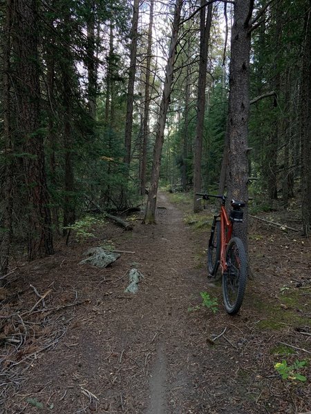 Starts to get dark a bit earlier on this trail... at least this time of year. Plan accordingly!