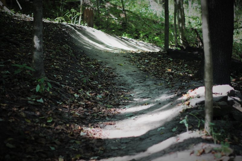 This trail is all about the flow and berms!  Always optimizing custom drainage techniques, trained stewards prioritize sustainable trails for all.