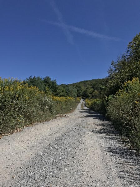 One of the low saddles between Beauty Gap and Unaka Mountain Overlook.