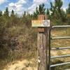 entrance to petrified forest