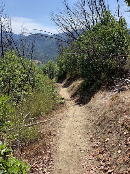 Looking back on the trail during the ascend of rat pack