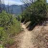 Looking back on the trail during the ascend of rat pack