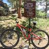 New downhill trail at Floyd Hill, the "Sluice".