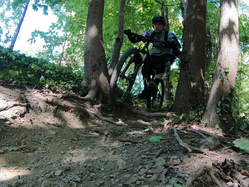 A tighter section between two trees at the end of the trail "PAX 5".