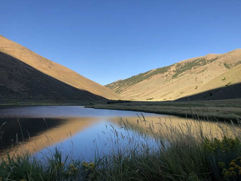 at Quigley pond (9/2/2019) .. water was so serene.. perfect time to catch such a contrasting shot!