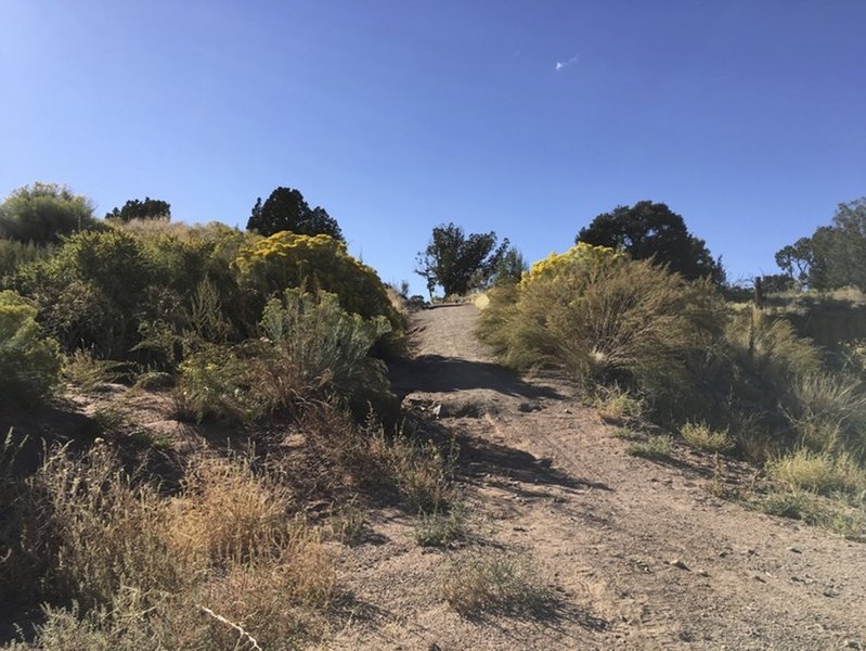 Heading West on Spur Trail to Rancho Viejo