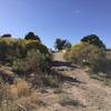 Heading West on Spur Trail to Rancho Viejo