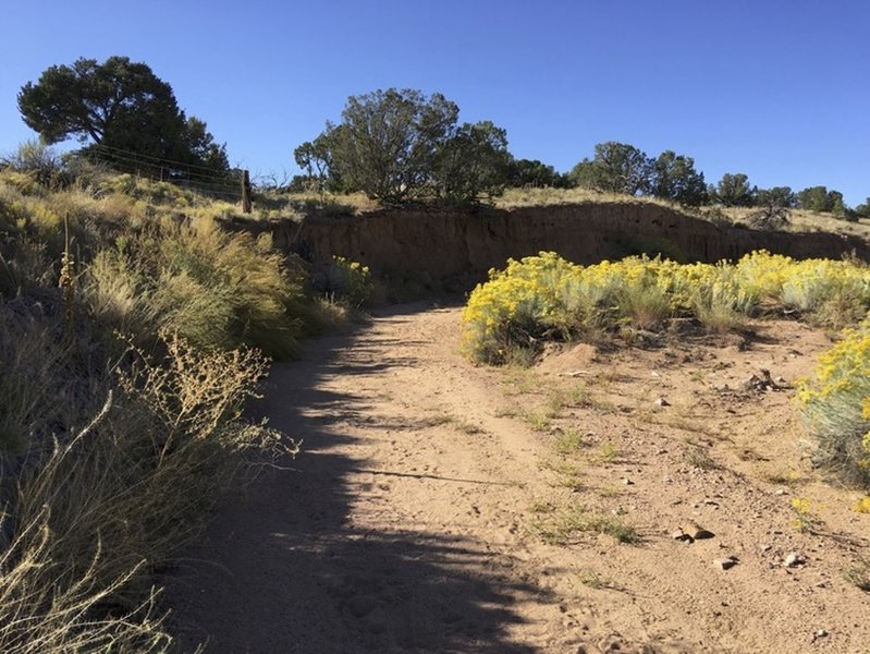 Trail Crosses Arroyo, washes out during monsoon season