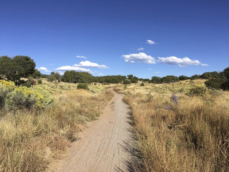 Spur Trail Headed Northeast