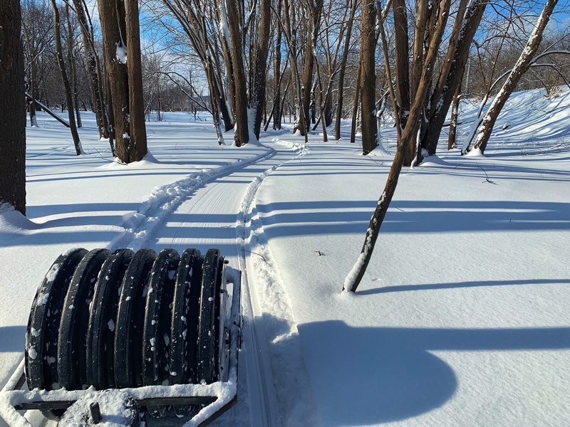 grooming the #sacfoxsingletrack for winter riding fun