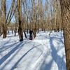 Rider enjoying some winter fun on the groomed #sacfoxsingletrack