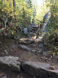 Stony "steps" to descent