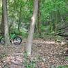 The beginning of the singletrack trail. You can see the trail continuing at 1 o'clock in the picture.