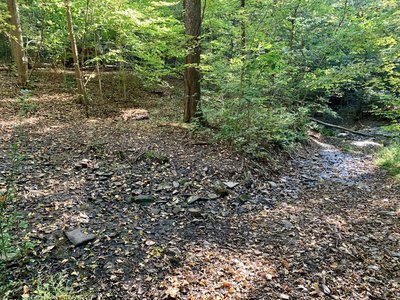 Here the trail takes a 90 degree turn uphill, this is looking at the turn halfway through. The trail continues uphill at 10 o'clock from the creek crossing at 2 o'clock.