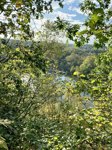 View of Black Rock Dam from the top of the trail on the ridgeline. Not the prettiest view because of the tree coverage, but at least it's something.