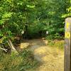 Beginning of Weedpatch counterclockwise by the fire tower.