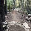 Rock features that add a good variety to the trail