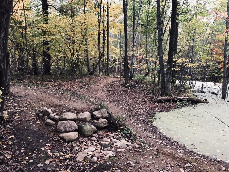 Scenic trail that passes numerous ponds. If you want something technical, go to Nine Mile. But Hatley has more elevation and flow. This is a hidden gem worth checking out, no matter your skill level