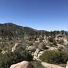 Great vista from a little rise near the trail.