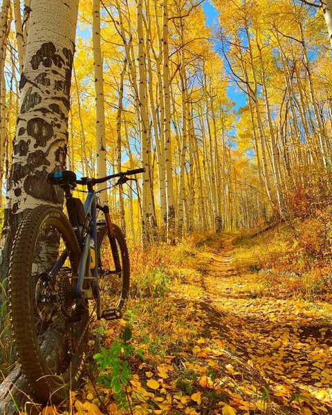 Fall leaves up the steep section!