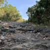 Lots of rocks on the outer loop near sendero balcones