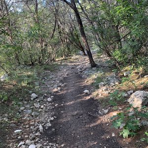There are some nice flat areas like this on the trail, but most areas are quite rocky