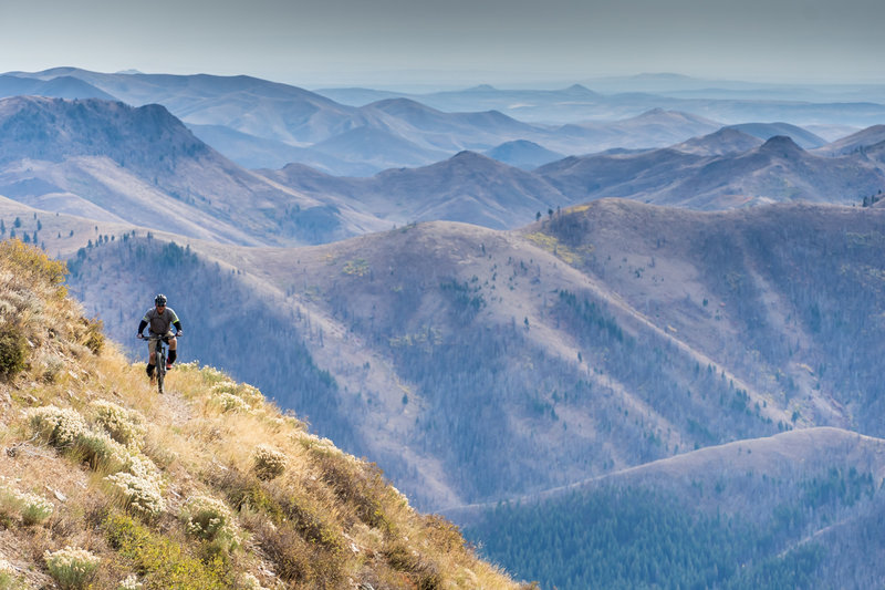 Absolutely incredible views as you climb Cold Springs towards the top