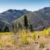 Lodgepole Gulch is a tough climb, but totally worth it for the views and the rippin' downhill!