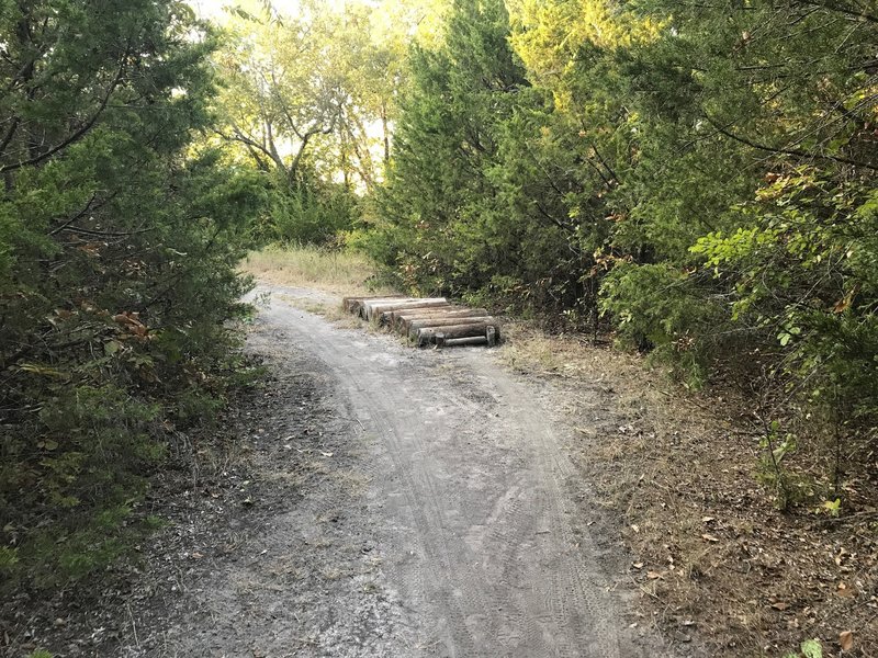 First log crossing on sister loop