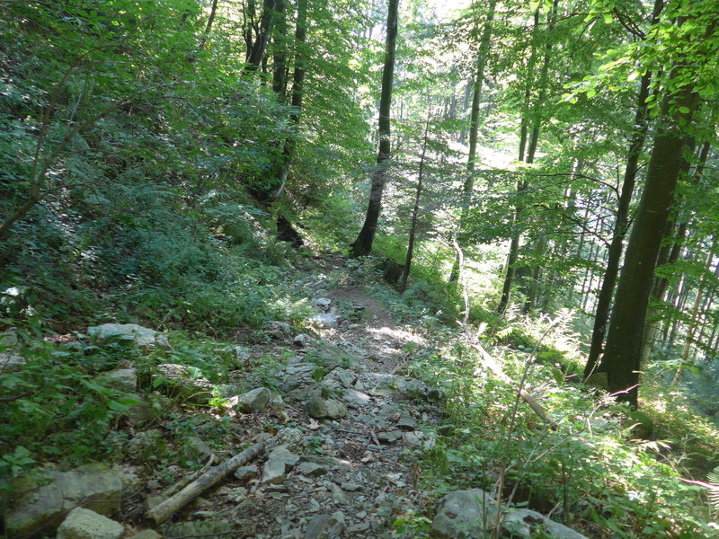 a rocky section at the upper part of Stador-Trail