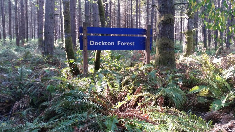 Dockton Forest