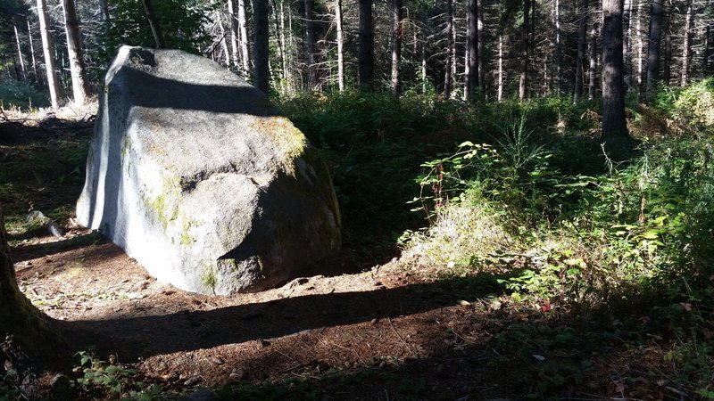 Try Rocks Ready to try your trials skills on this rock?