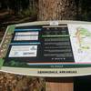 Map at top of trails