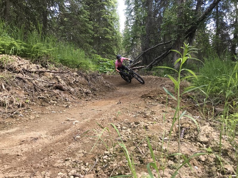 Lots of this on the new Slikok Trails.