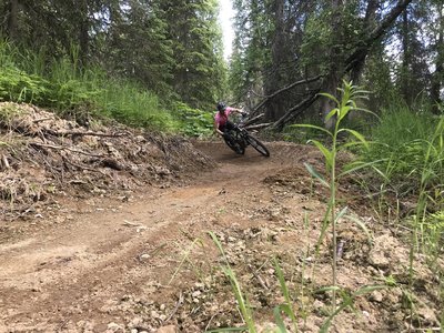 Lots of this on the new Slikok Trails.