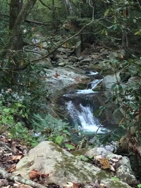 Campsite night two, Anthony's Creek.