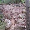 One of a few rock gardens at Warrior Creek