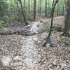 Stream crossing on the DewDropper