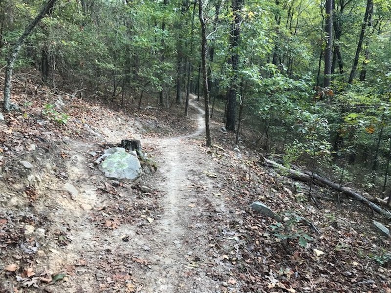 Optional jump on Freeman trail