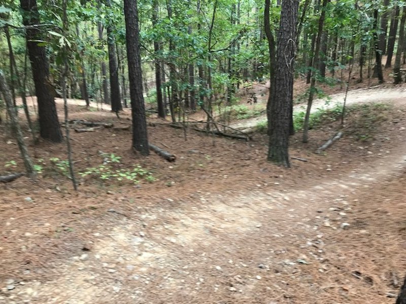 Switchbacks down Mockingbird which leads back to parking lot.