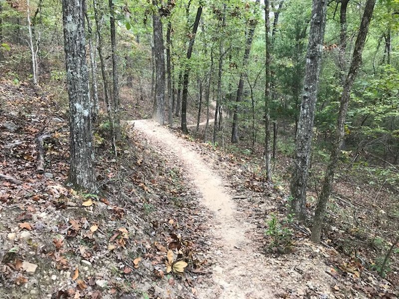 Easy and fun climb up to the Cats Meow on Bees Knees.