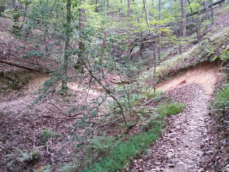 The double berms at ravine crossings are such a great build feature.  You get 2 berms at 1 turn and cross the ravine at 90 degrees.