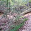 The double berms at ravine crossings are such a great build feature.  You get 2 berms at 1 turn and cross the ravine at 90 degrees.